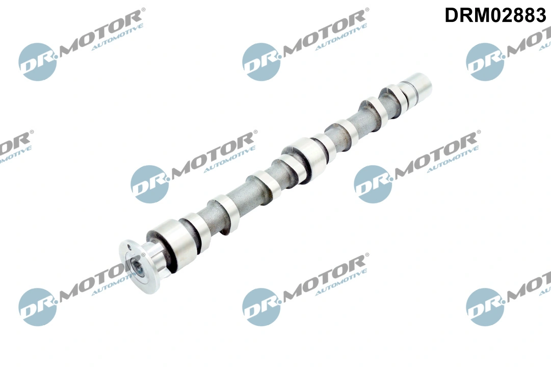 Camshaft